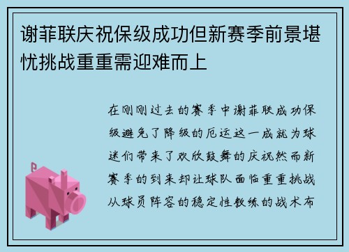 谢菲联庆祝保级成功但新赛季前景堪忧挑战重重需迎难而上