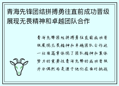 青海先锋团结拼搏勇往直前成功晋级展现无畏精神和卓越团队合作