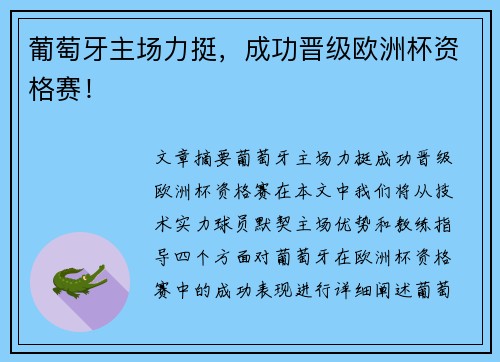 葡萄牙主场力挺，成功晋级欧洲杯资格赛！