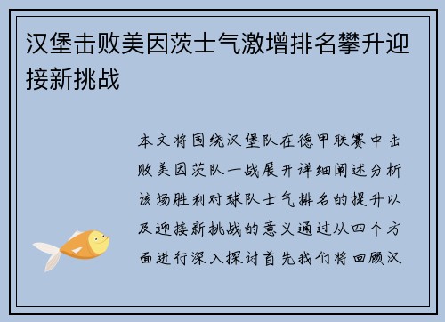汉堡击败美因茨士气激增排名攀升迎接新挑战