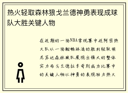 热火轻取森林狼戈兰德神勇表现成球队大胜关键人物